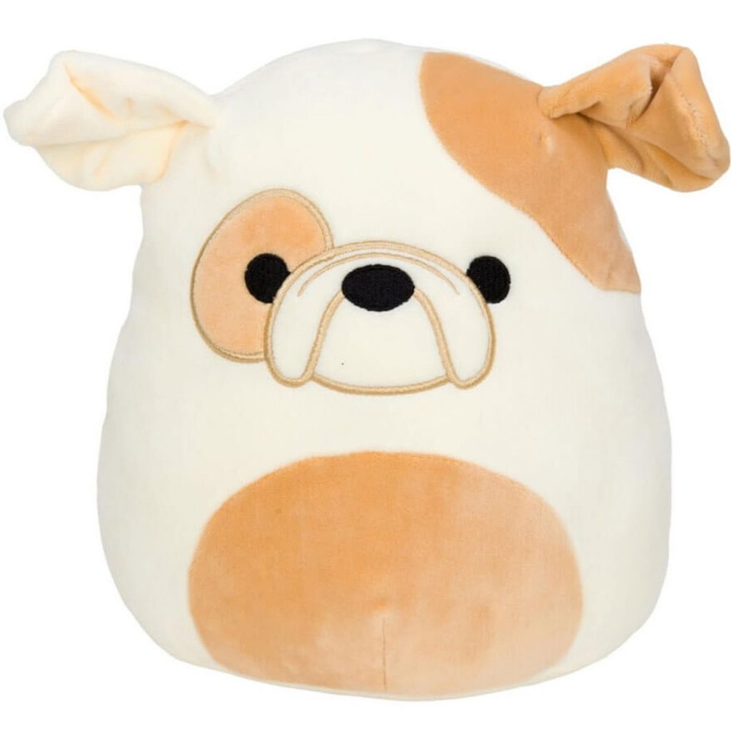 Understanding Squishmallows: An Ultimate Guide for First-Time Buyers